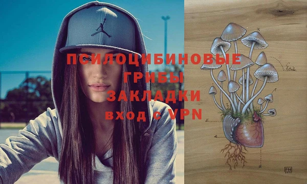 а пвп мука Осташков