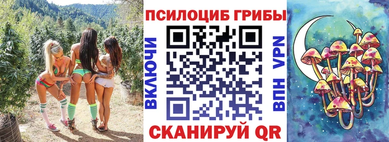 Псилоцибиновые грибы Cubensis  мориарти телеграм  Симферополь 